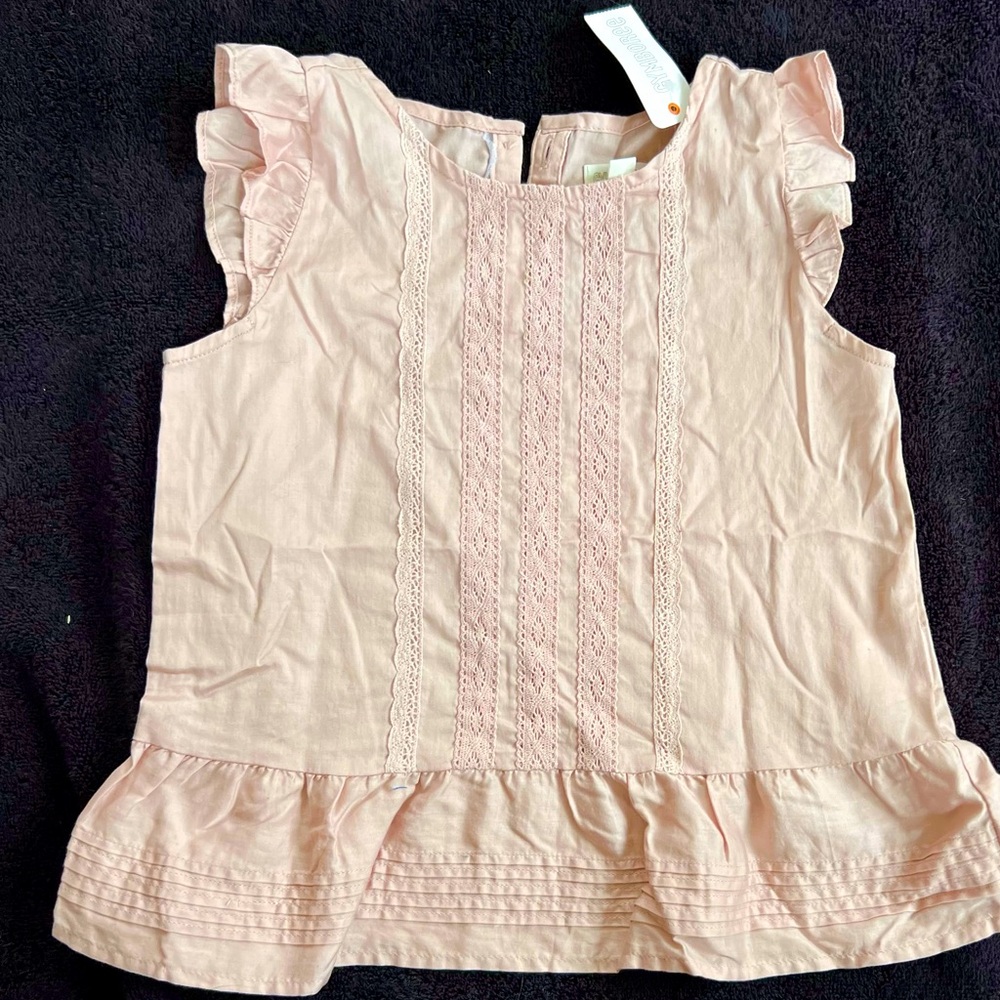 Gymboree Pink Ruffled Blouse with Flutter Sleeves